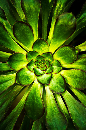 DSC_0062-Edit