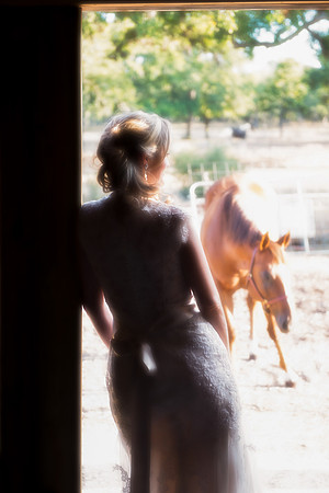 DSC_2091-1