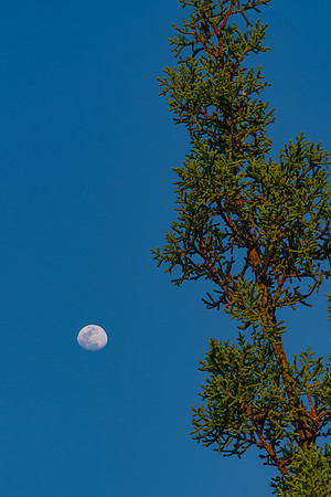 A6501326-Edit